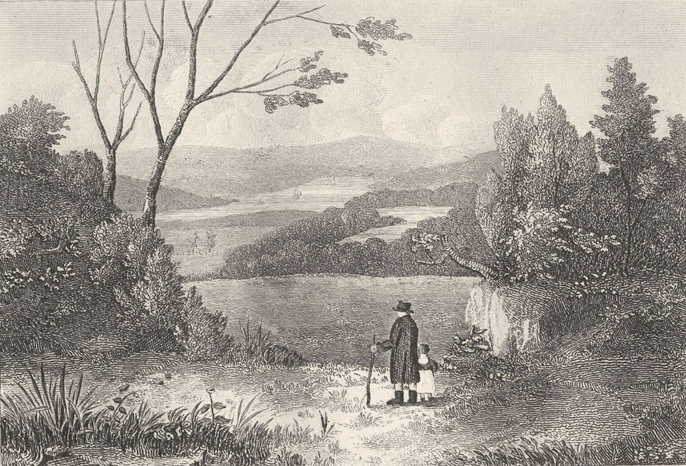 DEVON. On the Tamar, Devon. DUGDALE 1845 old antique vintage print picture